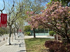 -同济大学(嘉定校区)