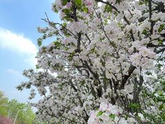 -鹫峰国家森林公园