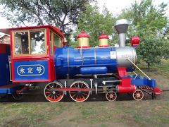 DSC08530-永定河休闲森林公园