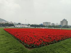 -大连人民广场