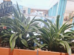 -长安记·大美陕菜(大族广场店)