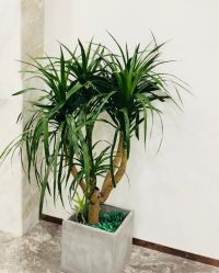 -INSTYLE造型·明星店