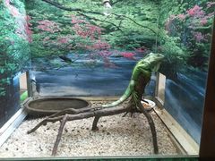 -石家庄市动物园