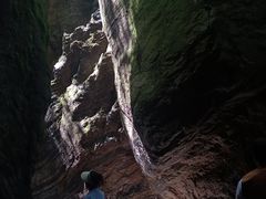 -牛背梁国家森林公园