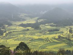 -牛街螺丝田
