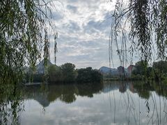 -凤池园