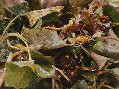 -盘龙黄鳝(盘龙居店)