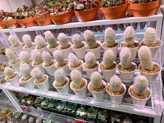 -KKV(深圳宏发大仟里店)