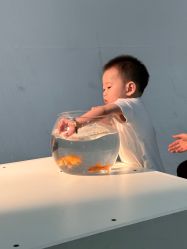 点击看大图 -小木马儿童摄影