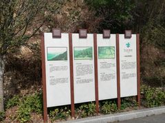 -羚羊峡古栈道森林公园