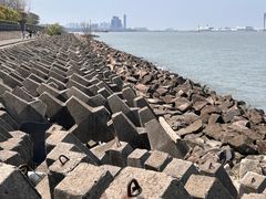 -上海滨江森林公园