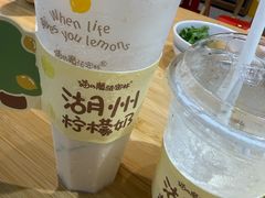 -猫的魔法密林(衣裳街店)