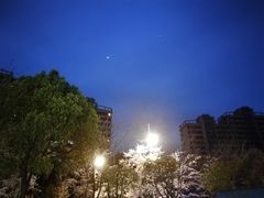 -浔味·山屿湖·正宗淳牌全鱼宴老字号