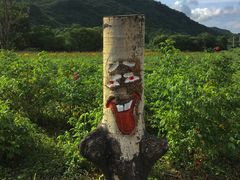 -帽儿山风景区