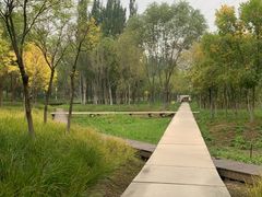 -大兴滨河森林公园