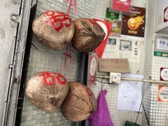 -洪馨椰子