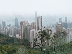 -太平山顶