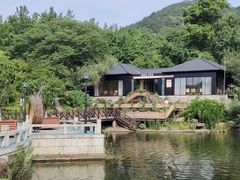 -白马涧龙池景区