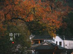 -塔川景区