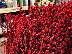 -花鸟鱼虫鲜花绿植市场(玉泉路店)