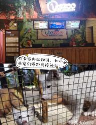 -酷嗒动物文化乐园(cutezoo西溪乐天城店)