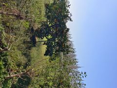 -前小桔亲子创意农场·草莓采摘·露营烧烤