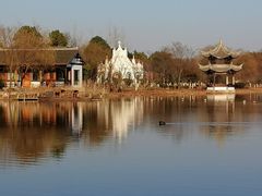 -杭州湾海上花田景区