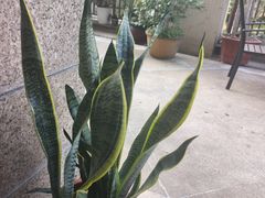 -茶油香闽南菜·花园餐厅(前埔店)