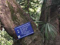 -柳侯公园
