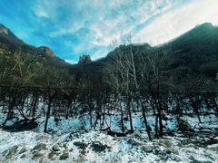 -灵山