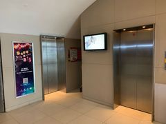 -白玉兰商务酒店(沈阳陆军总院店)