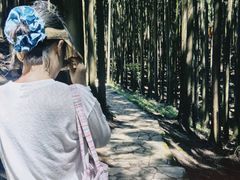 -山王坪喀斯特国家生态公园