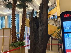 -温州华侨饭店(信河街店)