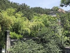 -老张烤羊(王哥庄店)