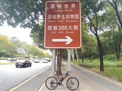 -深圳野生动物园