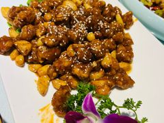 -登瀛楼饭庄(领世郡店)