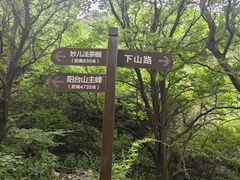 -北京鹫峰国家森林公园