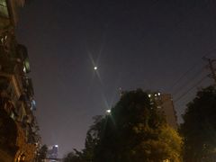 -杏花樓(大世界店)