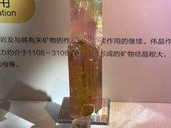 -湖南省地质博物馆