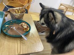 -李小姐の猫咖啡馆(五角场店)