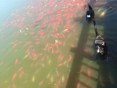 -卧龙湖