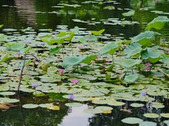 -烈士陵园(地铁站)