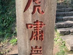 -武夷山风景名胜区-虎啸岩