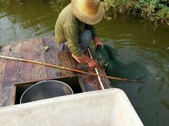 -白洋淀绿淀尚品土特产