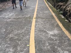 -中山公园(石岐街道)