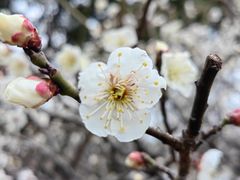 -相门城墙文化休闲景区