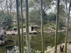 -南山植物园