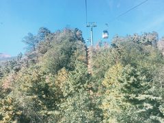 -苍山感通索道