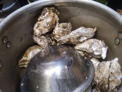 压锅生蚝-四合院海鲜小厨(旱西关店)