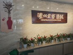-泸州老窖景区